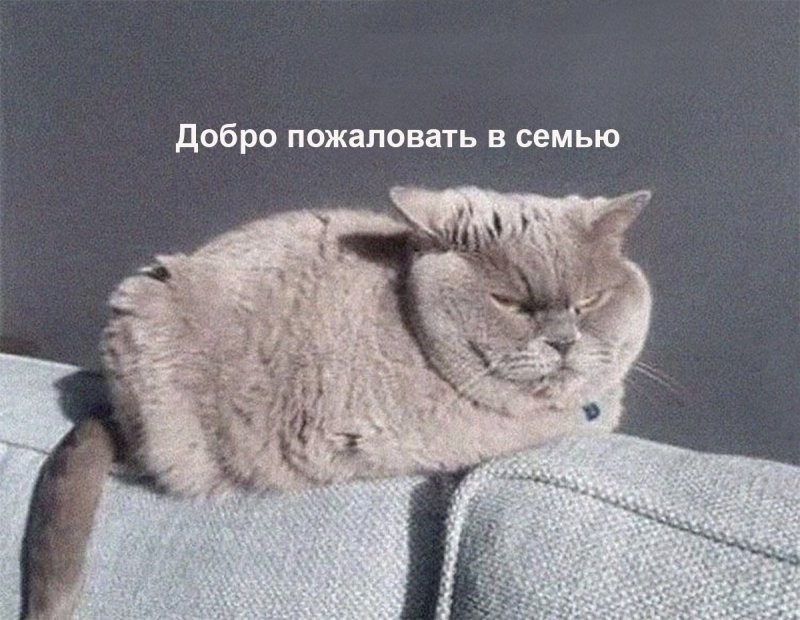 Сергей я искренне рад...
С подключением тебя так сказать...
В ворлд вайд веб, всемирную паутину...
Тут есть много всего. Смотри, наслаждайся...
Делись с нами обязательно....