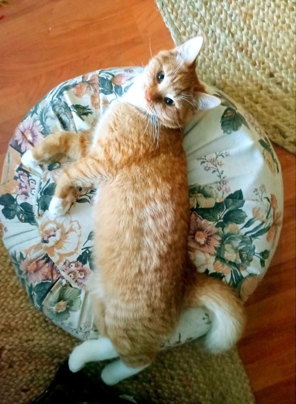 Доброе утро