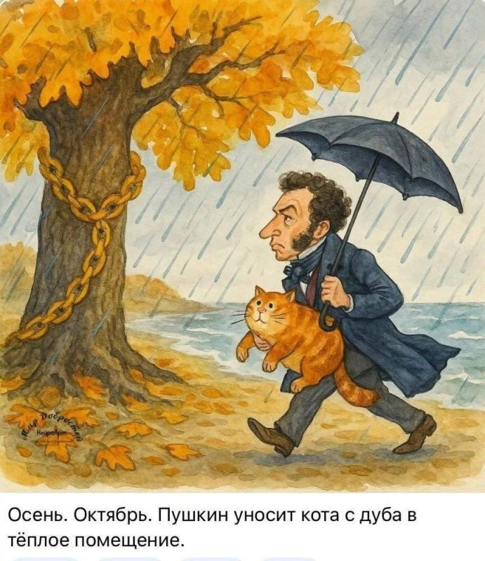 Солянка от 29.10.2025