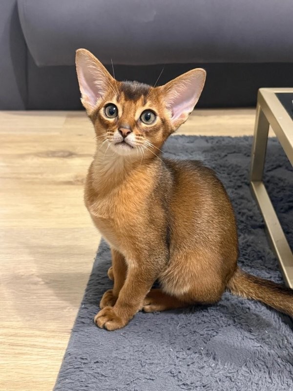 Доброе утро