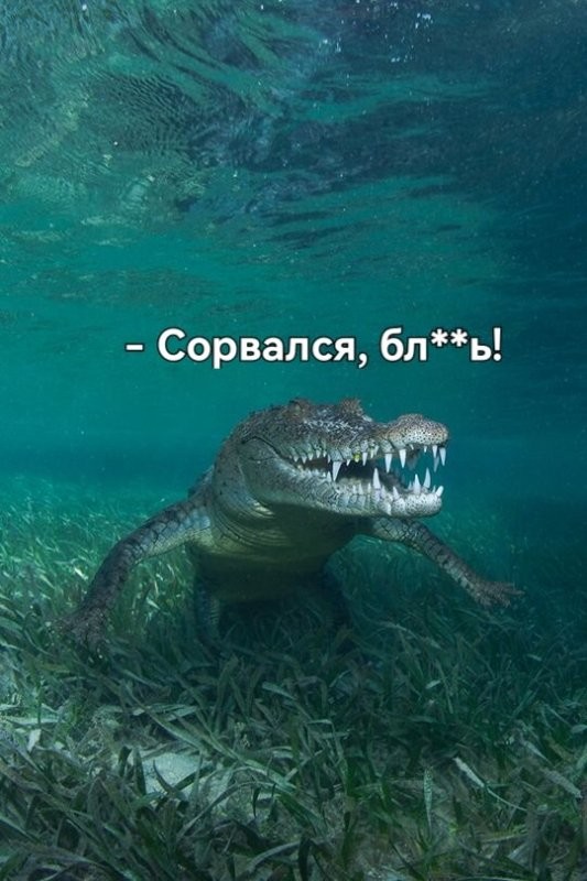 Солянка от 31.10.2025