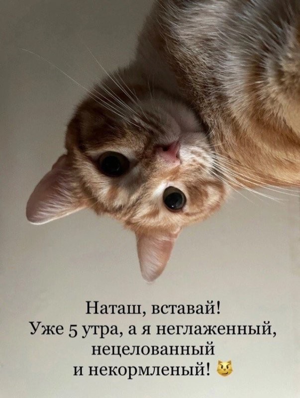 Солянка от 31.10.2025