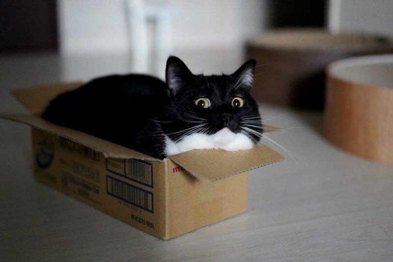 Солянка от 01.11.2025