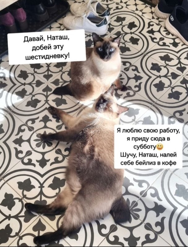 Доброго утра