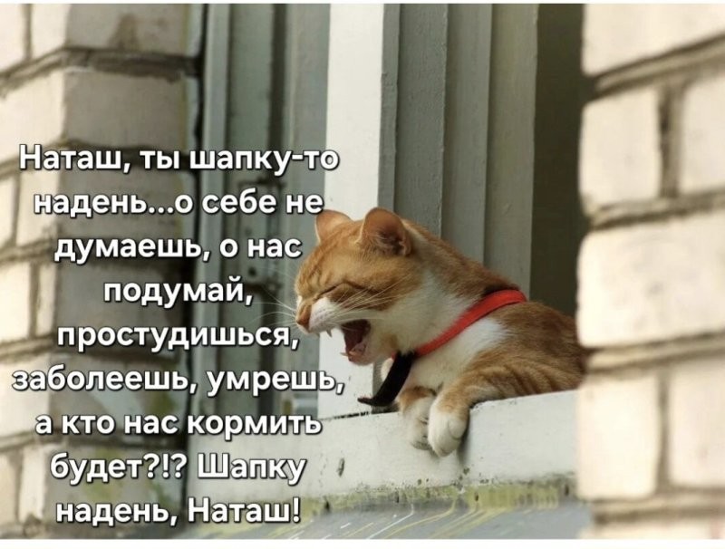 Солянка от 01.11.2025