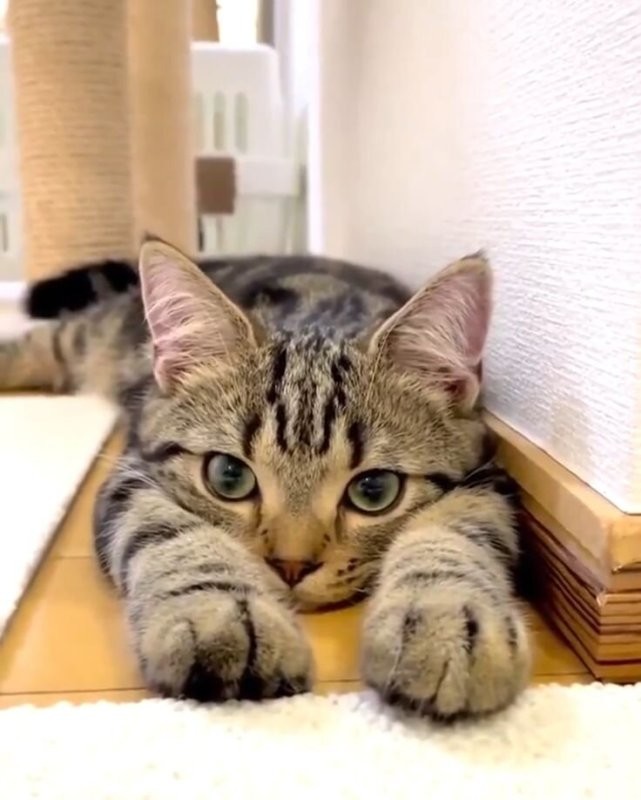 Солянка от 01.11.2025