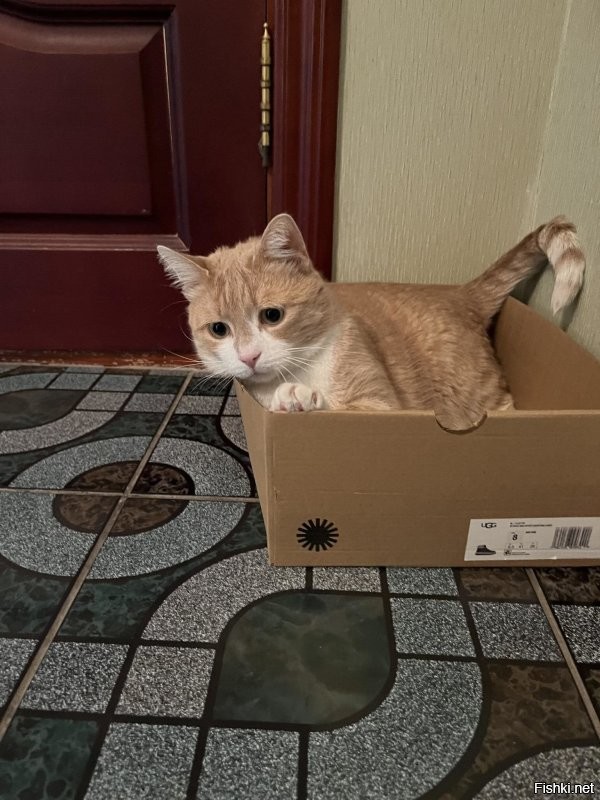 Солянка от 02.11.2025