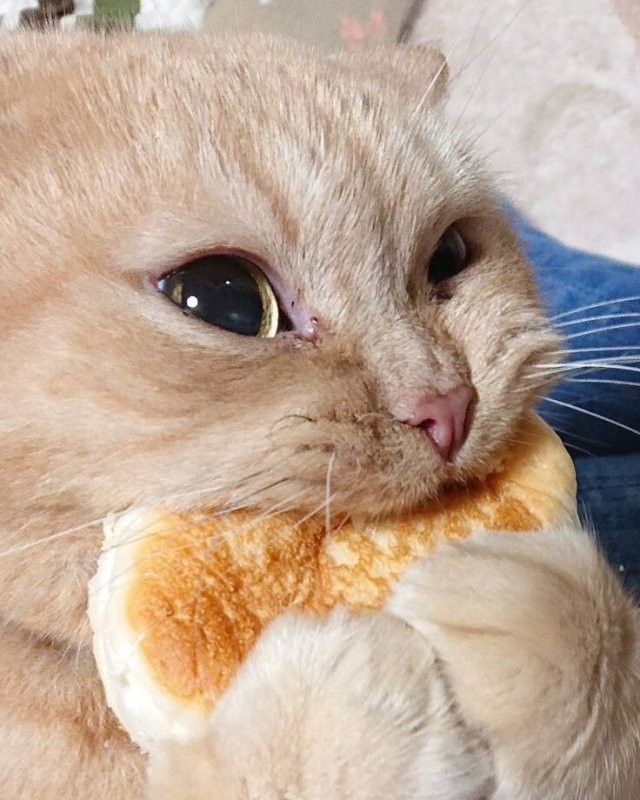 Пасибо ! И вам )