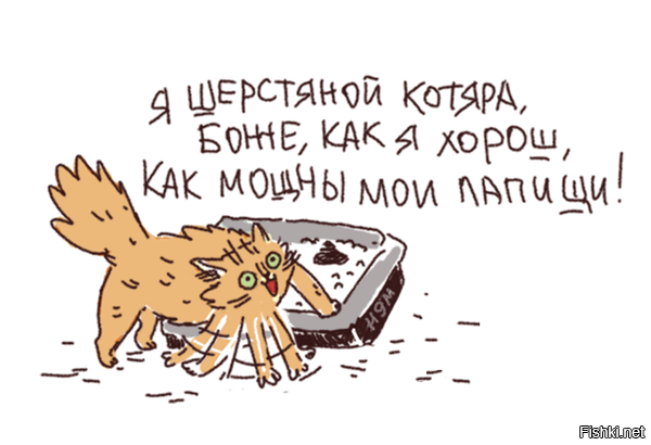 Солянка от 04.11.2025