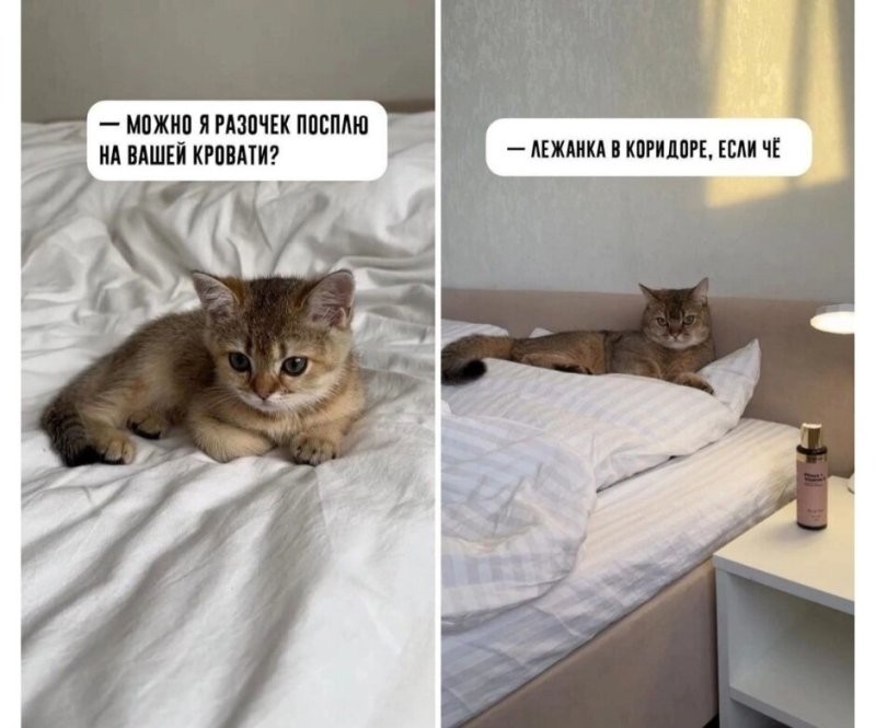 Солянка от 04.11.2025