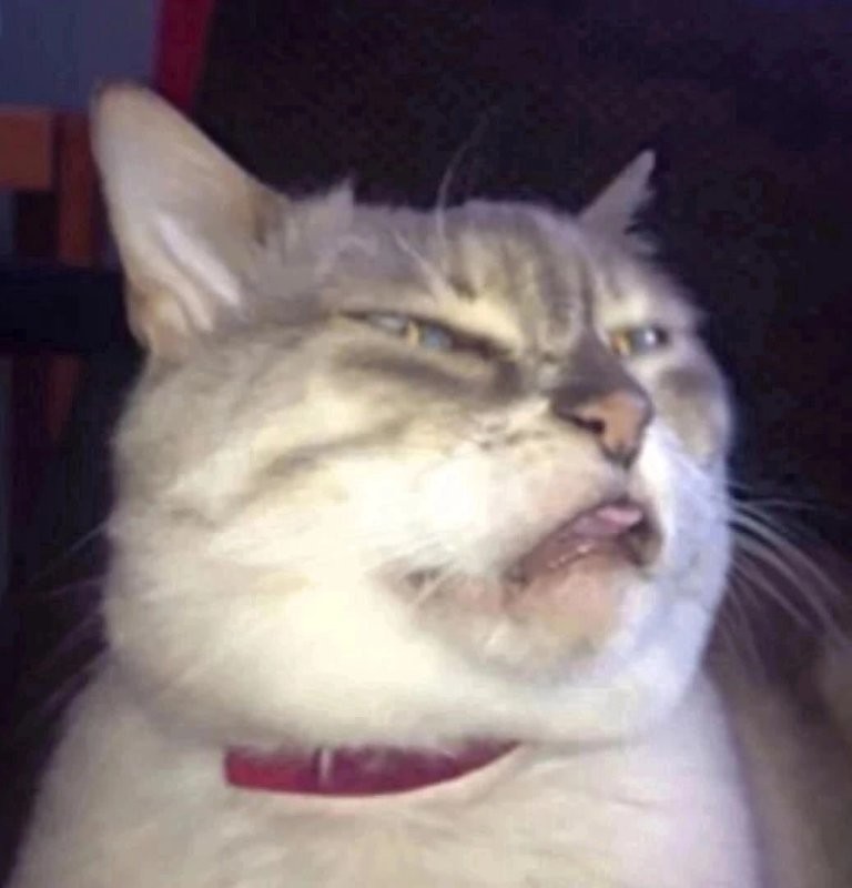 Мне кажется, что Солянку...
Не просто открыли... 
Но Серега...