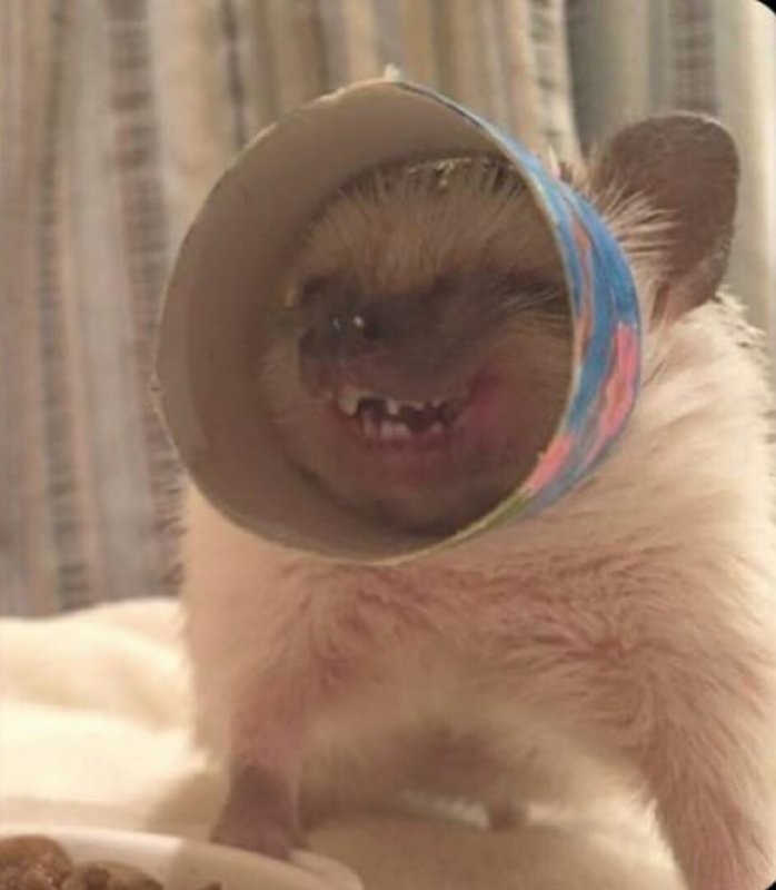 Весело же...
Мне по крайней мере...
Ну некоторые обижаются...
Хотя не со зла я это...
По добрейшему так сказать...
А Сутулая твинк мой или я её... не помню уже)