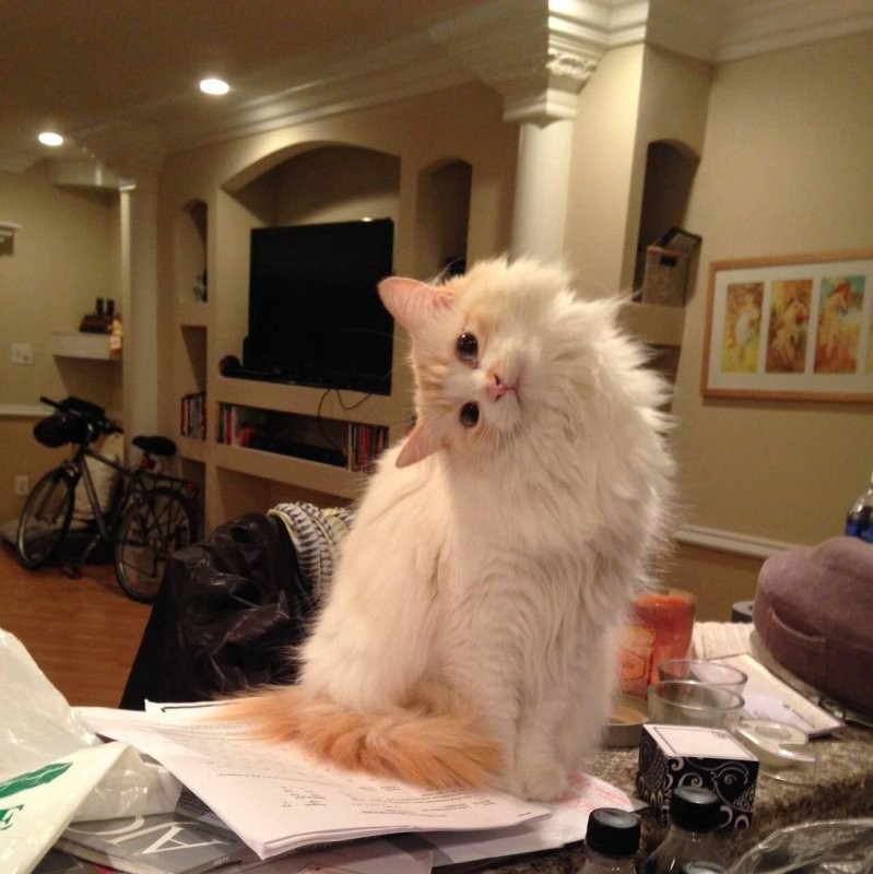 оксана в солянке ежедневно. ..
хотя ужасно любит секс...
и в голову ей не приходит...
идея как объединить...