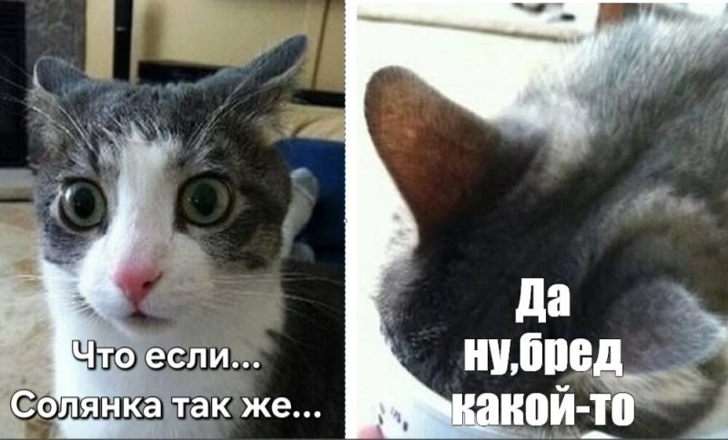 Солянка от 08.11.2025