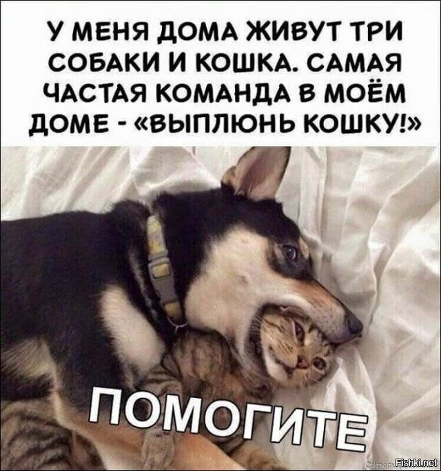 Солянка от 09.11.2025