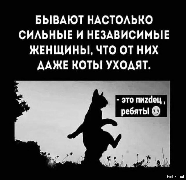 Солянка от 09.11.2025