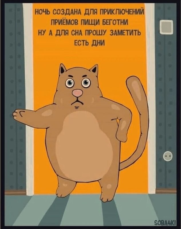 Солянка от 09.11.2025