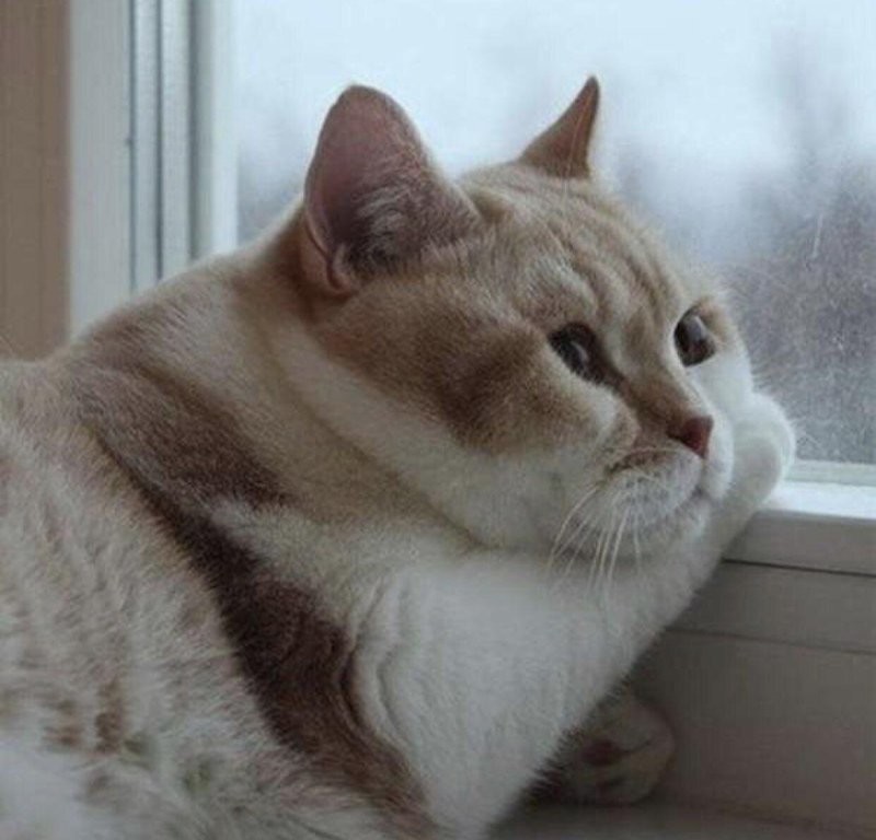 Привет...
Скучала.. ?)