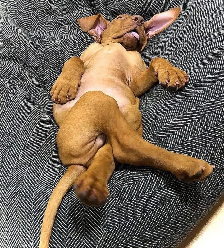 Солянка от 10.11.2025