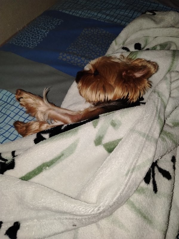 Солянка от 10.11.2025