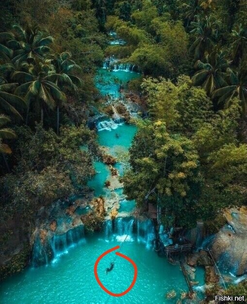 Неудачная фотка, непонятно на что рыбачат...