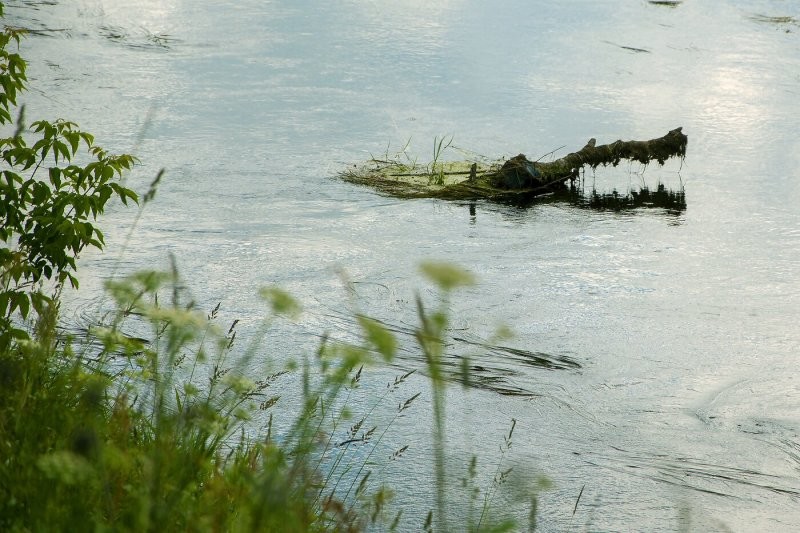 Солянка от 12.11.2025