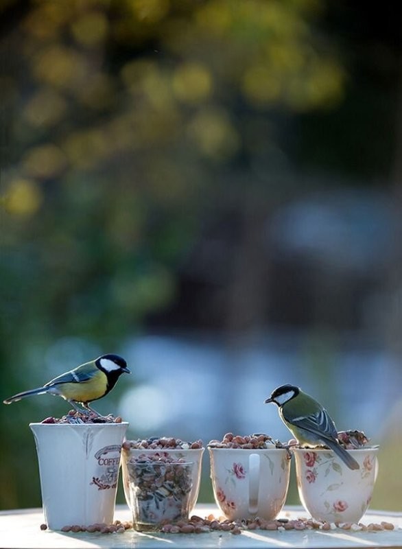 С добрым утром