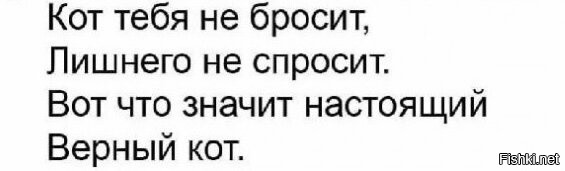 Солянка от 16.11.2025