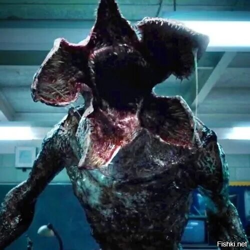 Солянка от 15.11.2025