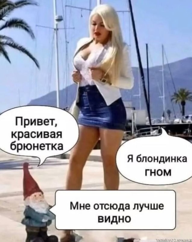 Солянка от 16.11.2025