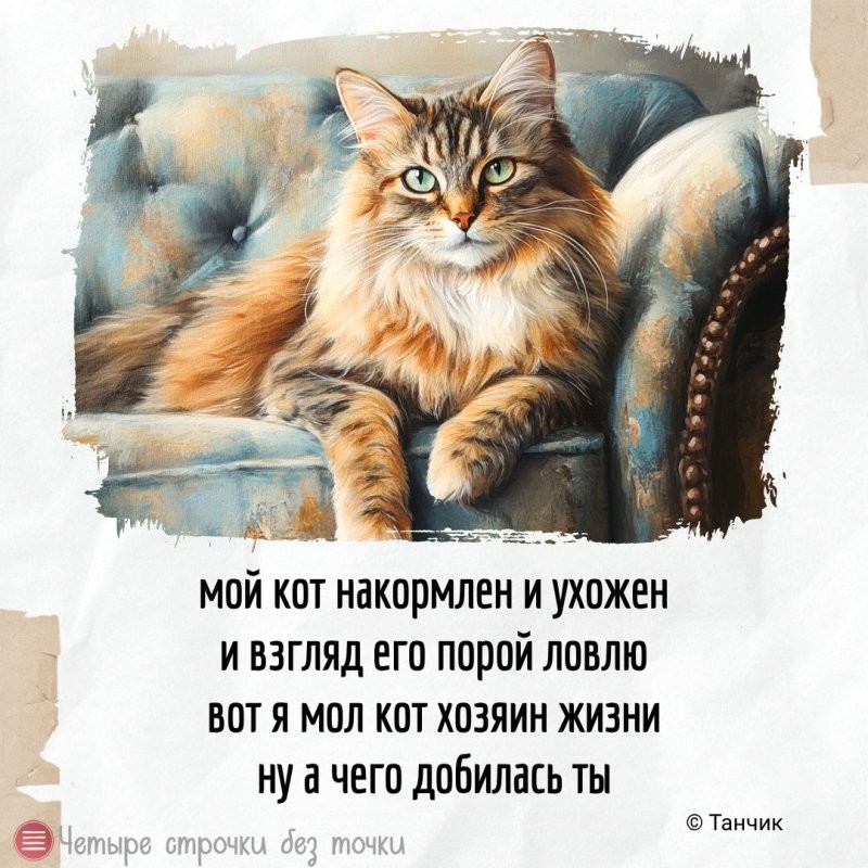 Доброе утро