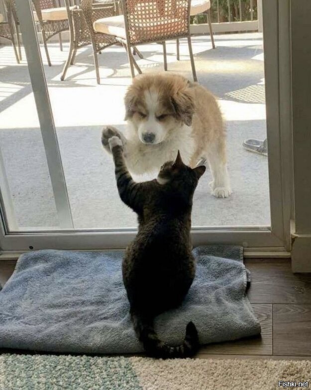 Солянка от 21.11.2025