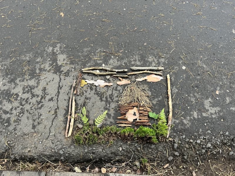 Зима потерялась. В прошлые года уже был и каток и горные лыжи.