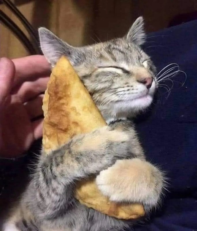 Оксанчик, ты как беляш с вокзала...
Горячая, сочная и опасная...
Люблю тебя...