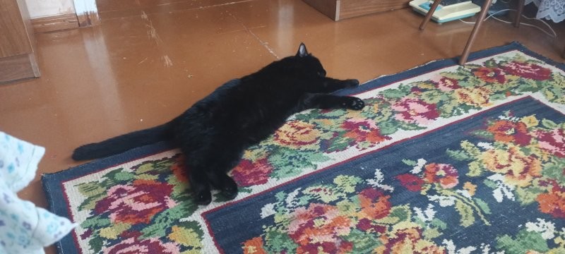 Вызов принят