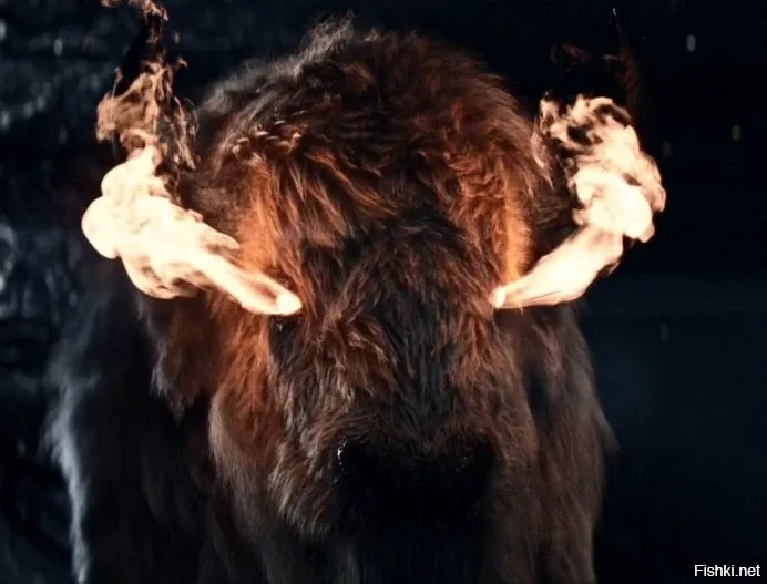 Солянка от 24.11.2025