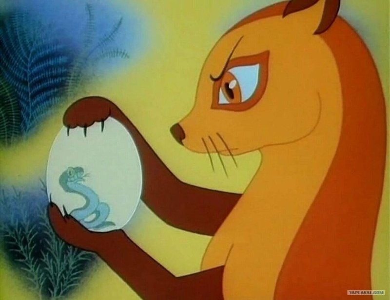 Солянка от 24.11.2025