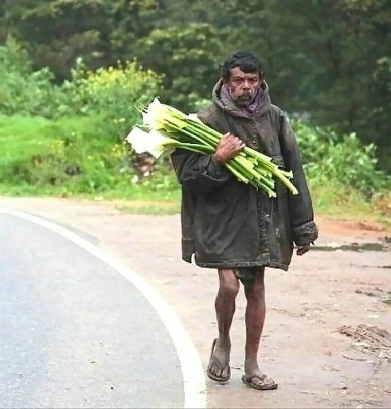 Я иду тебе навстречу росными лугами
Радость падает на плечи желтыми утрами
Знаю ждешь меня ты где-то у любви во власти
Посреди цветов и лета посредине счастья
Знаю ждешь меня ты где-то у любви во власти...