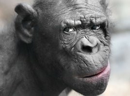 Гена, а точно первый раз..?