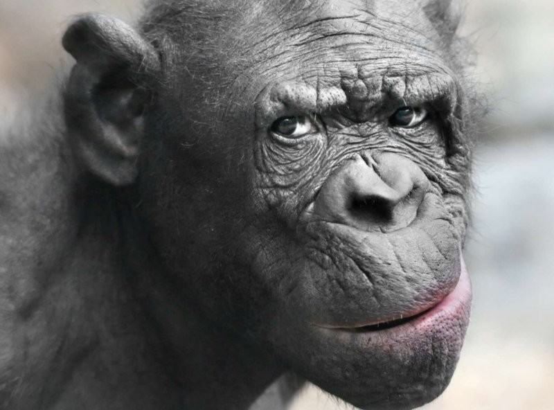 Гена, а точно первый раз..?