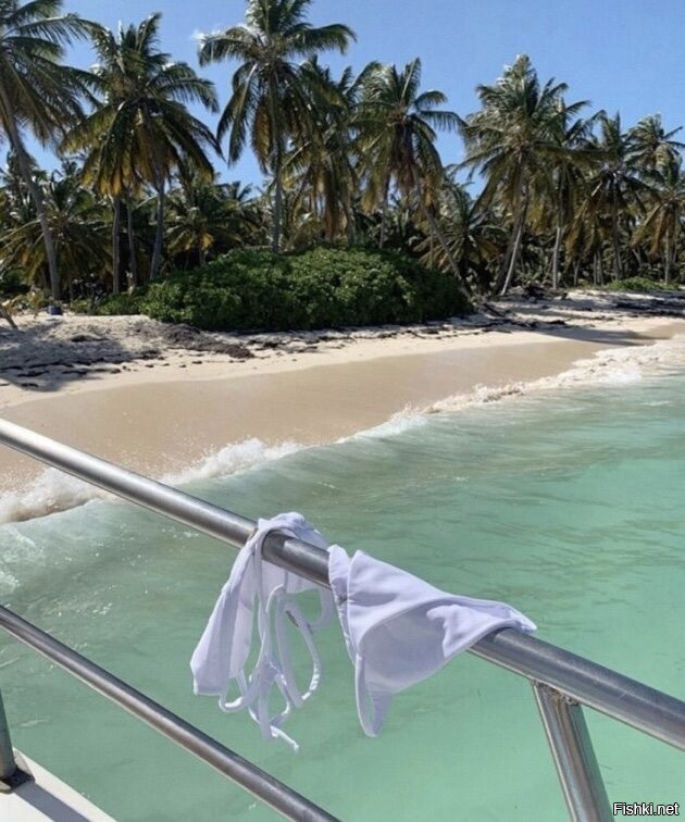 Солянка от 26.11.2025