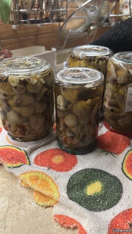 Солянка от 26.11.2025