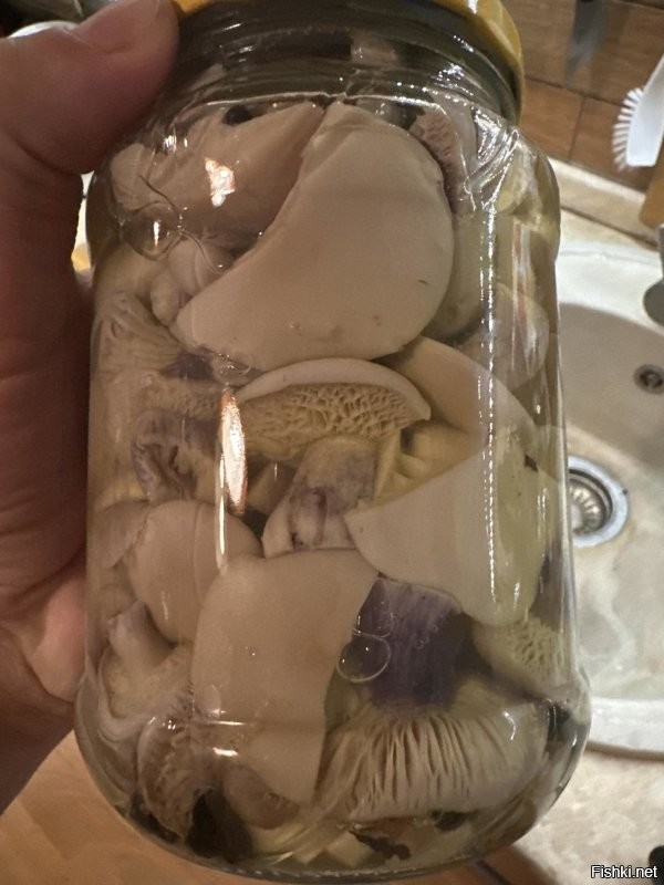 Солянка от 26.11.2025