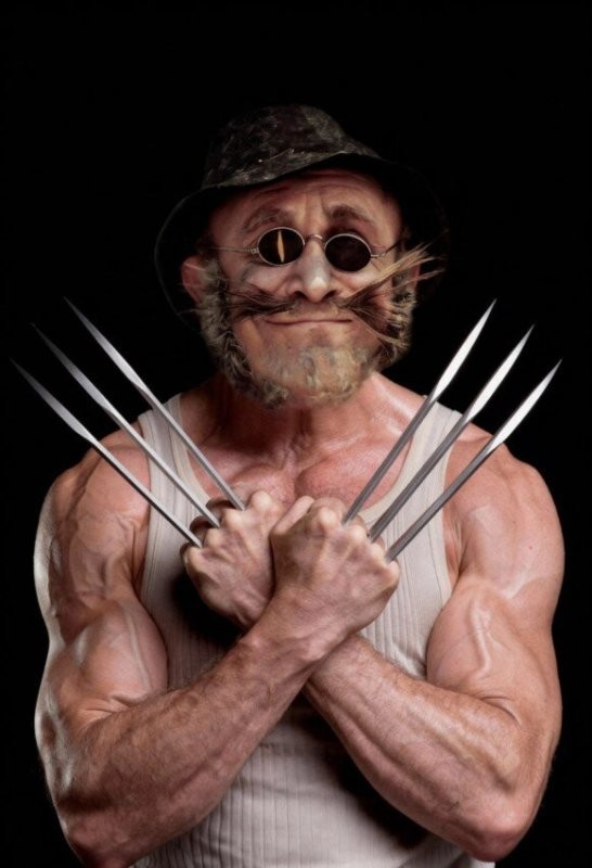 Коты такие в Австралии...