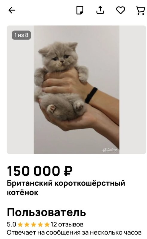 Доброе утро