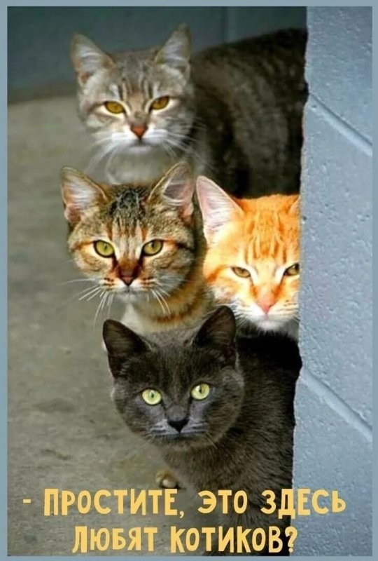 С началом нового дня!