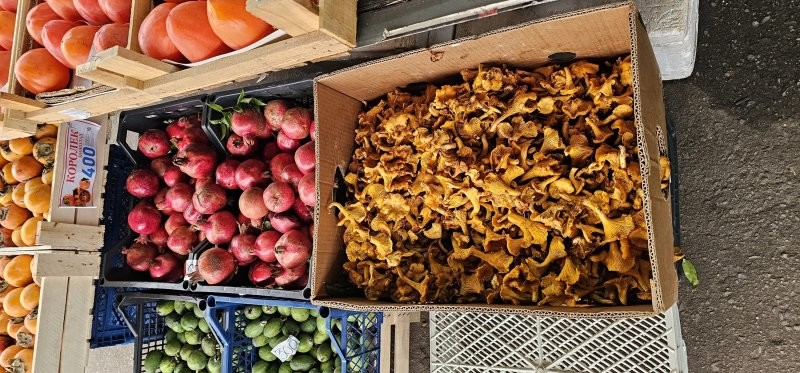 Мытищи, еще продают - 500 руб / кг.