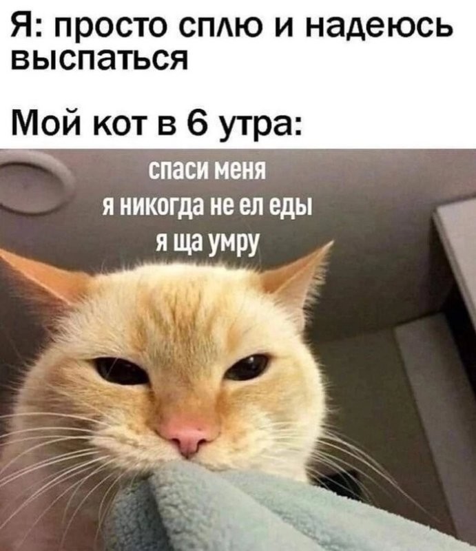 Доброе утро