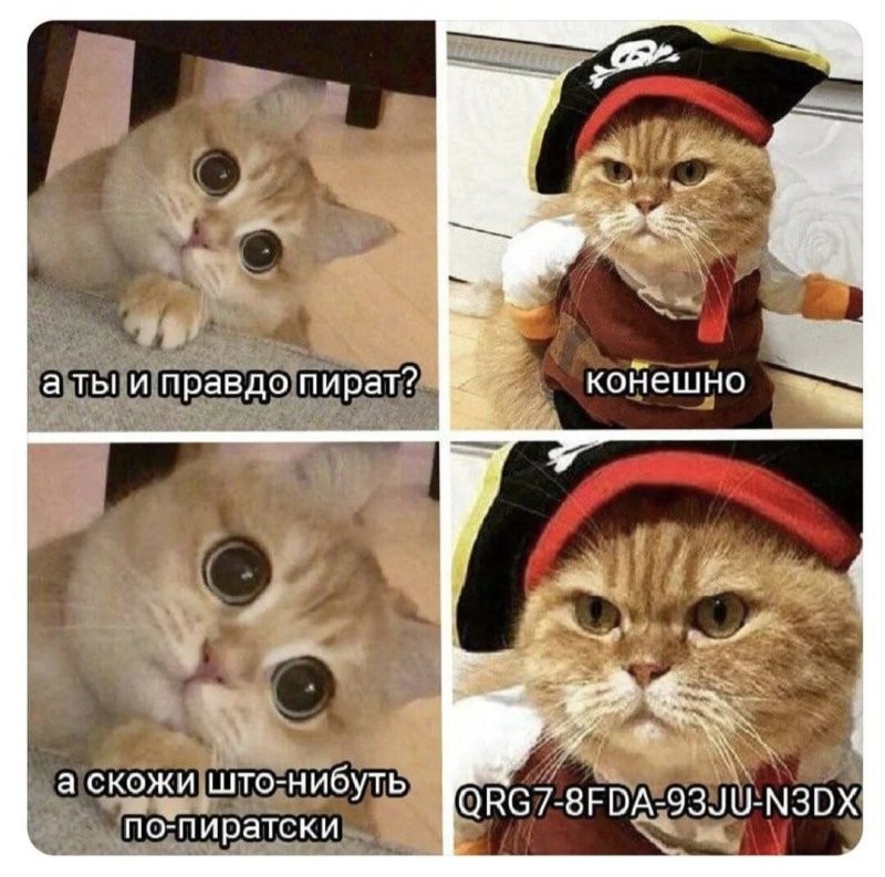 Солянка от 30.11.2025