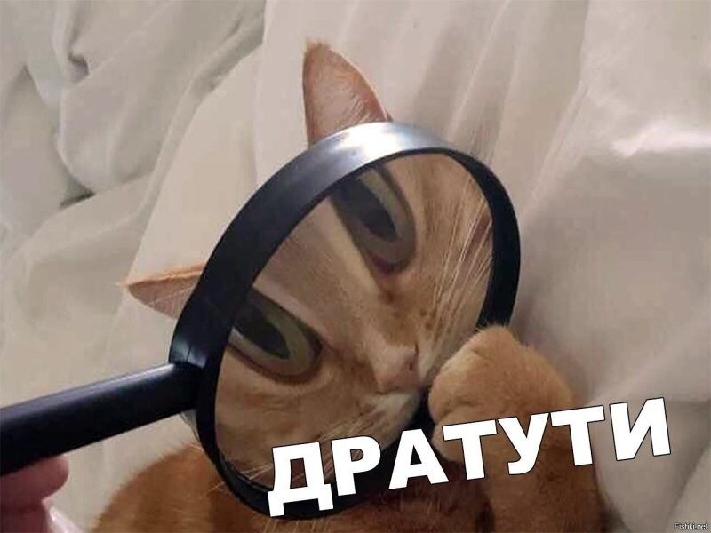 Солянка от 30.11.2025